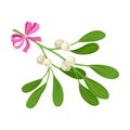 Mistletoe Twig With Berries Tied With Festive Silk Ribbon Vector Illustration