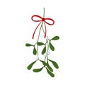 Mistletoe Viscum branch with white berries and red bow. Christmas tradition Kissing bough. Vector illustration isolated on white