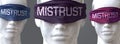 Mistrust can blind our views and limit perspective - pictured as word Mistrust on eyes to symbolize that Mistrust can distort