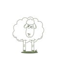 Mistrustful sheep. Royalty Free Stock Photo