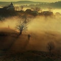 Mists Royalty Free Stock Photo