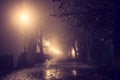 Misty alley in night city park, mystical autumn cityscape with burning lanterns Royalty Free Stock Photo