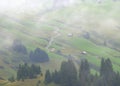 Misty Alpine landscape with pine trees and wooden houses