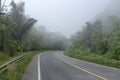 Misty Asphalt road with nature and wildlife views in the middle of the jungle in Thailand National Park.