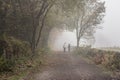 Misty Autumn Day in Derbyshire