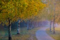 Misty autumn fall morning, path in a city