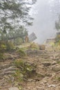 Misty hiking trail in the Beskid Zywiecki near Zawoja, Poland Royalty Free Stock Photo