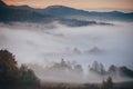 Misty autumn landscape. fog between trees, beautiful morning Royalty Free Stock Photo