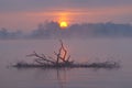 Misty Autumn Landscape Royalty Free Stock Photo