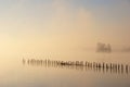 Misty Autumn Morning On Lake Royalty Free Stock Photo