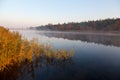 Misty autumn morning over calm river, yellow reeds in sunlight, forest in fog. Ukraine, peace Royalty Free Stock Photo