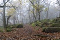 Padley Gorge Derbyshire Peak District