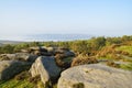 A misty autumn morning on the rock strewn slopes of Surprise View