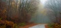 Misty autumn road Royalty Free Stock Photo