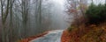 Misty autumn road Royalty Free Stock Photo