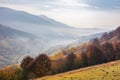 misty autumn sunrise in mountains Royalty Free Stock Photo