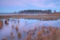 Misty autumn sunrise over swamp in Mandefijld Royalty Free Stock Photo