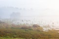 Misty beach landscape in autumn