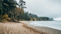 Misty Beachscape: Serene Atmospheric Perspective With Deciduous Trees