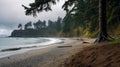 Misty Beachscape With Trees: A Captivating Nature Photograph