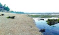 Misty beachside view at Tuburan