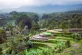 Misty beautiful sunrise over the Jatiluwih Rice Terraces Royalty Free Stock Photo