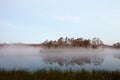 Misty bog landscape in Cena moorland, Latvia Royalty Free Stock Photo