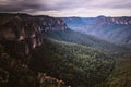 Misty Canyon and vast forest