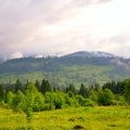 Misty Carpathian mountain valley Royalty Free Stock Photo
