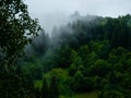 Misty Carpathian Mountains with fog landscape. Foggy morning green fir trees forest on a rainy day Royalty Free Stock Photo