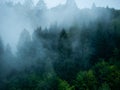 Misty Carpathian Mountains with fog landscape. Foggy morning green fir trees forest on a rainy day Royalty Free Stock Photo