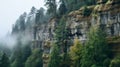 Misty Cliffside With Trees: A Nikon D850 Topographical Uhd Image Royalty Free Stock Photo
