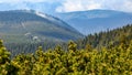 Misty clouds rolling over forest hills, Frantiskova myslivna hut, Jeseniky, Czech Republic Royalty Free Stock Photo