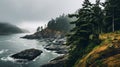 Misty Coastal Landscape With Deciduous Trees And Rainy Weather