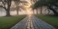 A misty cobblestone path illuminated by warm sunlight in a tranquil forest at dawn. Royalty Free Stock Photo