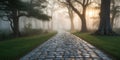 A misty cobblestone path illuminated by warm sunlight in a tranquil forest at dawn. Royalty Free Stock Photo