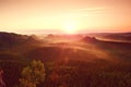 Misty colorful morning. View over birch tree to deep valley full of heavy mist. Autumn landscape after rainy night. Royalty Free Stock Photo