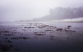 Foggy Landscape over the Flooded Cranberry Bog and Forest on Cape Cod, Massachusetts Royalty Free Stock Photo