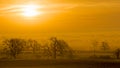 A misty dawn across trees and fields