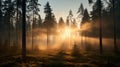 Romantic Sunrise In A Misty Forest: Tyko Sallinen Inspired Landscape