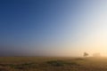 Misty dawn early morning nature grassland landscape Royalty Free Stock Photo