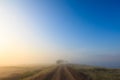 Misty dawn early morning nature grassland landscape Royalty Free Stock Photo