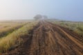 Misty dawn early morning nature grassland landscape Royalty Free Stock Photo