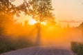 Misty dawn with forest road and sunbeams dawn Royalty Free Stock Photo