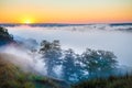 Misty dawn over Valley and the forest Royalty Free Stock Photo