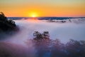 Misty dawn over Valley and the forest Royalty Free Stock Photo