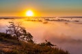 Misty dawn over Valley and the forest Royalty Free Stock Photo