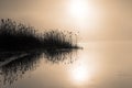 Misty dawn on the river.Horizontal view. Royalty Free Stock Photo