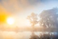 Misty dawn and silhouettes of the trees by a river Royalty Free Stock Photo