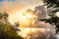 Misty dawn and silhouettes of the trees by a river Royalty Free Stock Photo
